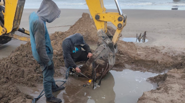 Trabajos preventivos en el muelle: retiraron varios hierros que habían quedado expuestos por la bajante