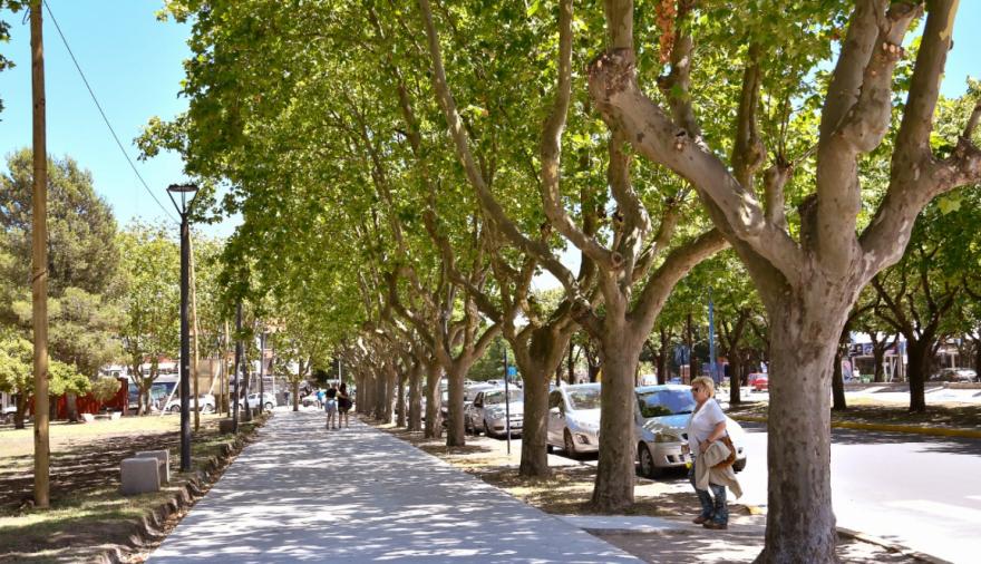 Convenio para mejorar el arbolado urbano y la forestación en Necochea