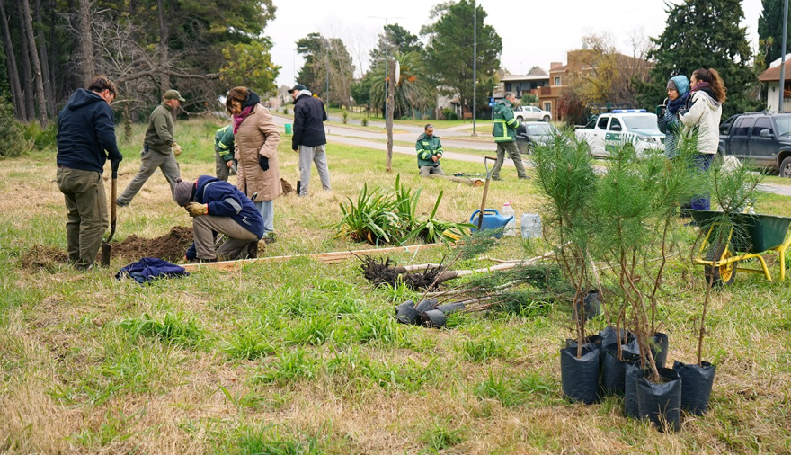 Se realizó una jornada de plantación de nuevas especies en el Parque Miguel Lillo