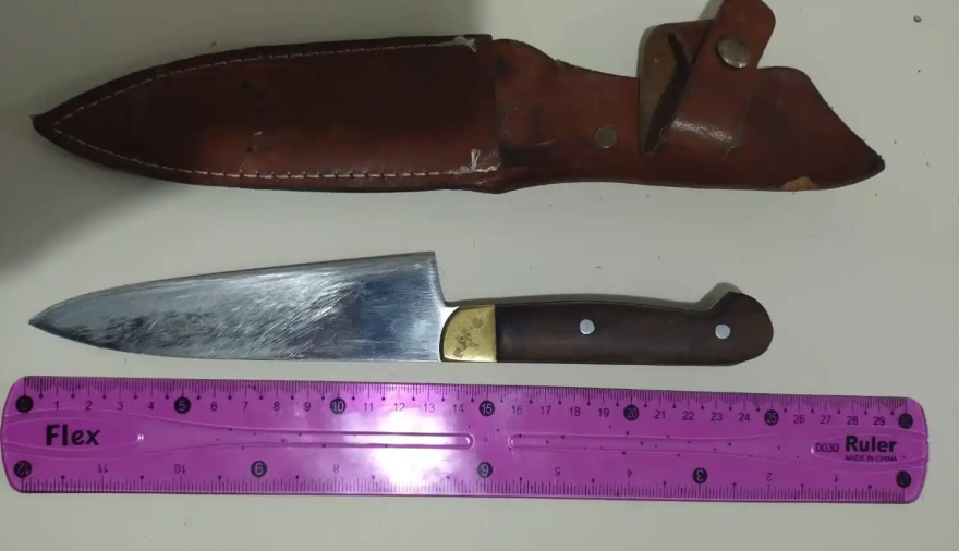 Dos menores de 14 años fueron demorados con armas blancas en pleno centro