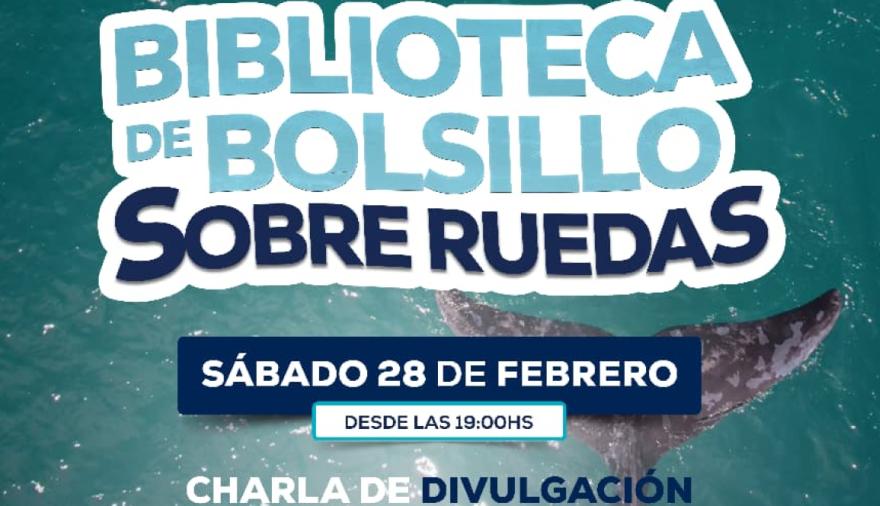 Este sábado habrá una charla sobre los mamíferos marinos de Puerto Quequén en el Centro de Interpretación Portuaria