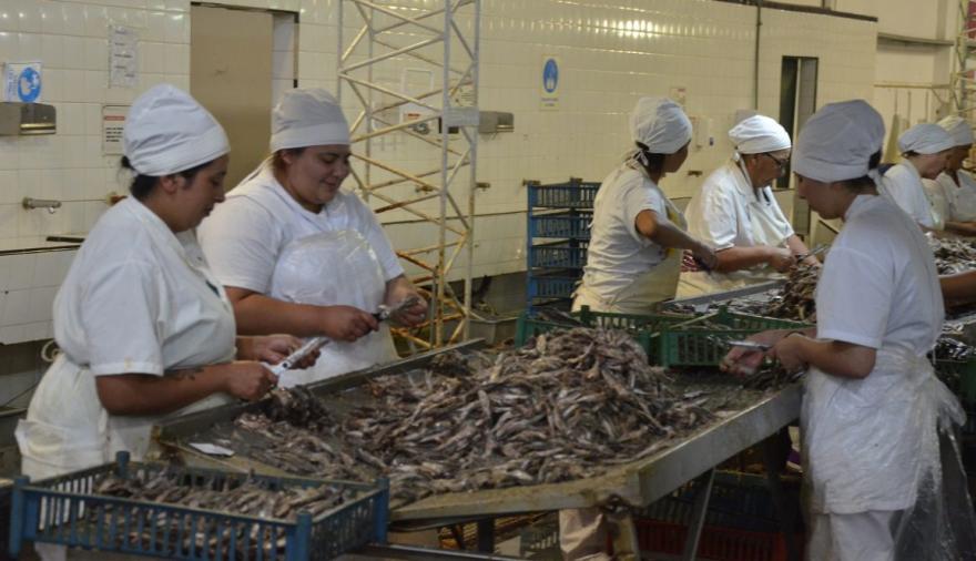 Homenaje a las integrantes de Engraucoop en Puerto Quequén