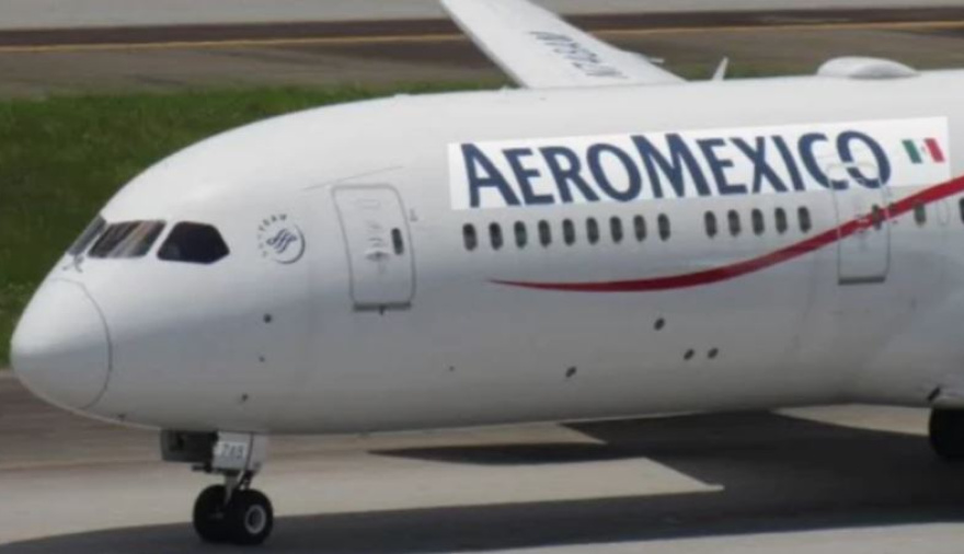 Histórico en Mar del Plata: un Boeing 787 aterrizó por primera vez tras un desvío por tormentas