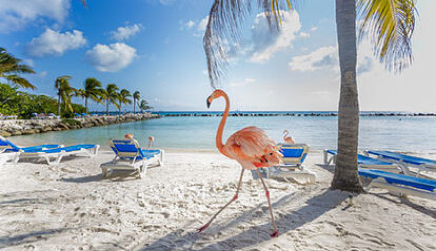 Investigan un supuesto viaje de Manuel Adorni a Aruba en medio de la causa por su patrimonio