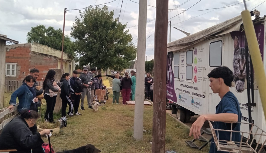 Llega una nueva jornada de castración masiva de mascotas