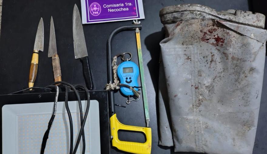 Allanamiento por abigeato en Necochea termina con tres sujetos aprehendidos y el secuestro de diversos elementos