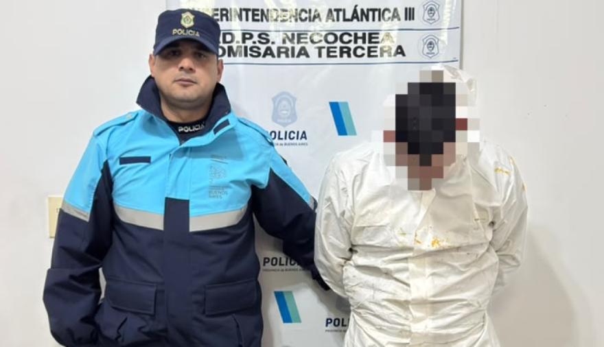 Desbaratan presunta maniobra de falsificación de licencias de conducir: secuestran celulares y equipos tecnológicos