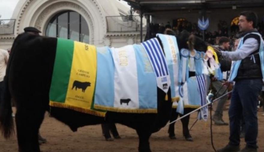 Orgullo necochense: un toro de La Dulce hizo historia al consagrarse Gran Campeón Macho Angus en la Expo Palermo 2026