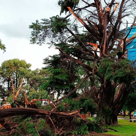 El temporal que pasó por Necochea, hizo destrozos en Miramar