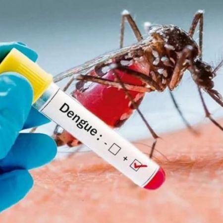 Se confirman casos de dengue en Necochea, aunque todos son "importados"