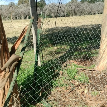 Indignación y tristeza por el vandalismo en la huerta escolar de una primaria y jardín