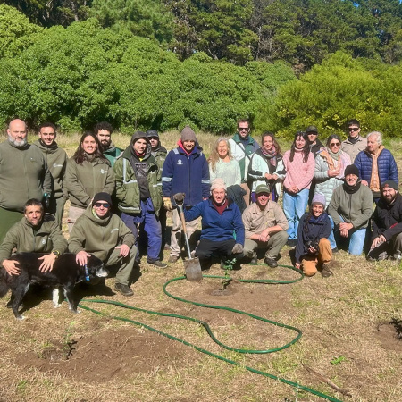 Jornada de plantación en el Parque Miguel Lillo con el objetivo de producir leña con fines sociales