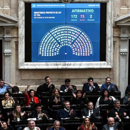 Una para el lado de la justicia: Diputados logró rechazar el veto de Milei a la Ley de Emergencia en Discapacidad