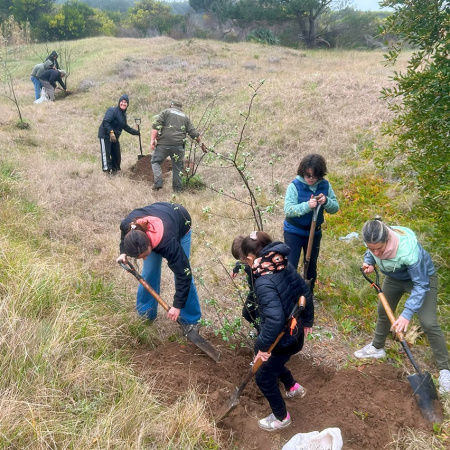 Alumnos del Colegio Danés participaron de una jornada de plantación en el parque