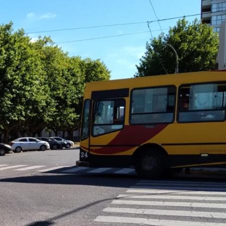 Transporte: anunciaron modificaciones en recorridos de algunas líneas para este sábado