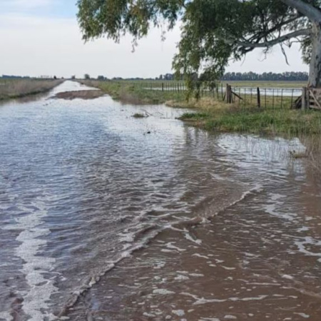 Productores rurales desesperados por las inundaciones: “Desde marzo que estamos bajo el agua”