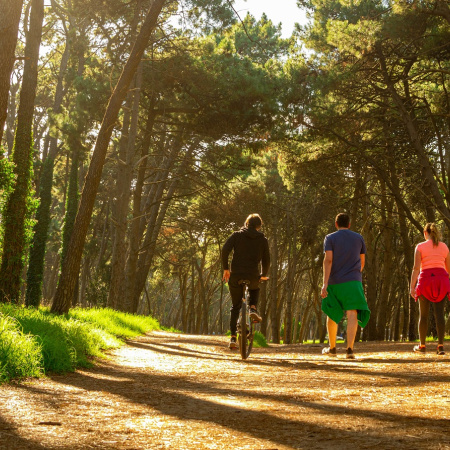 Invitan a actividades gratuitas en vísperas del Retiro Internacional de Yoga