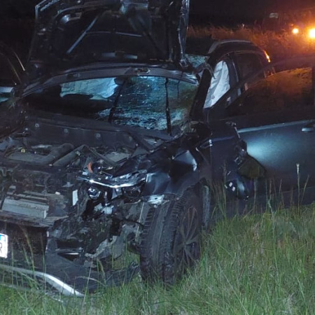 Matrimonio chocó con un caballo en la Ruta 88 y fue auxiliado por un vecino de Lobería