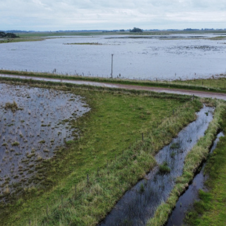 Inundaciones sin precedentes: el campo bonaerense enfrenta su peor crisis en años
