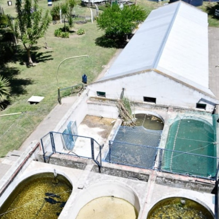 La Estación de Piscicultura celebra 42 años como ícono de la conservación del Río Quequén