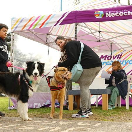 Pasó con éxito una nueva jornada de vacunación antirrábica