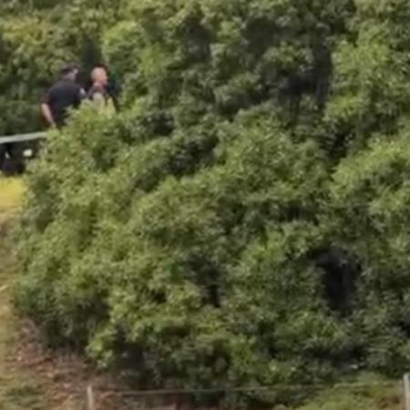 Hallaron el cuerpo de Débora Bulacio en la zona del Lago de los Cisnes