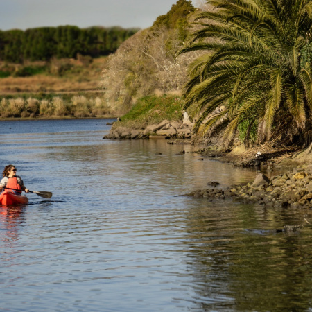 Desesperada búsqueda de un joven que desapareció al intentar cruzar el Río Quequén nadando