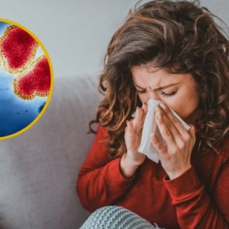 Irungaray habló sobre el adelanto de la gripe H3N2 en Europa, una variante muy contagiosa