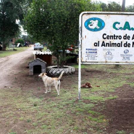 Estafas: El CAAN advierte por falsos cobros de estacionamiento en la Villa Balnearia
