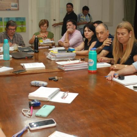 Kristiansen: “Pareciera que, con las  modificaciones planteadas,  se busca que no se subaste”.