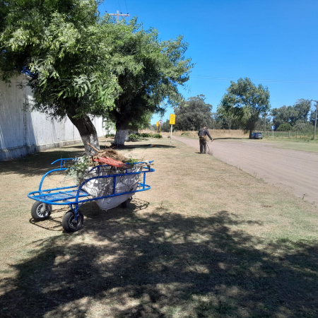 El Municipio refuerza las tareas de limpieza y mantenimiento en distintos barrios de Necochea y Quequén