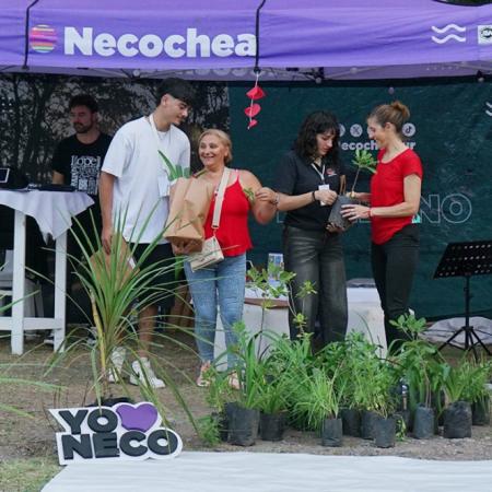 Llega el evento “Pino Piñonero”: Naturaleza, cultura y encuentro en el corazón del parque