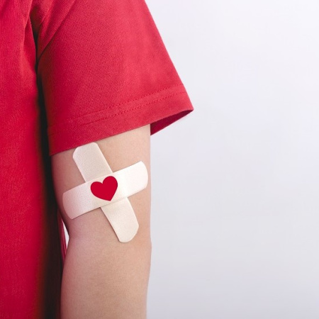 Día del Donante de Médula Ósea: anuncian una jornada especial