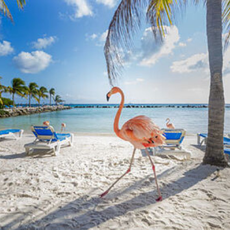 Investigan un supuesto viaje de Manuel Adorni a Aruba en medio de la causa por su patrimonio