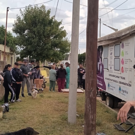 Llega una nueva jornada de castración masiva de mascotas