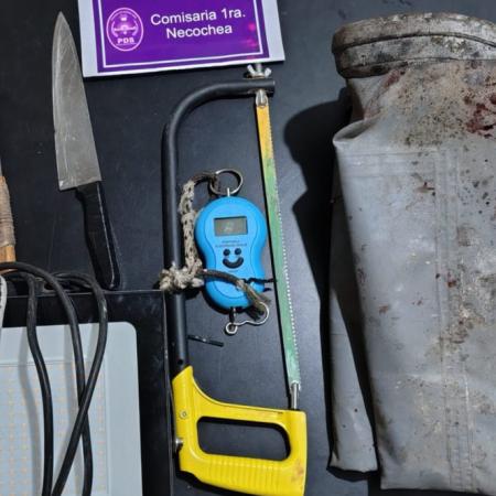 Allanamiento por abigeato en Necochea termina con tres sujetos aprehendidos y el secuestro de diversos elementos