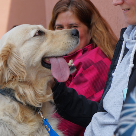 Este sábado se realizará una nueva jornada de Castración Masiva de mascotas