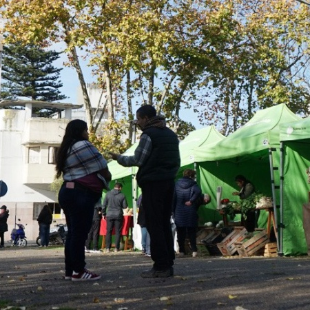 Este miércoles estará nuevamente la Feria “El Mercado” en la plaza Dardo Rocha
