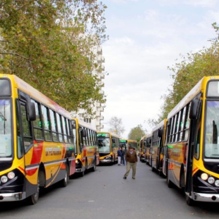 La Municipalidad llama a licitación pública para la concesión del transporte urbano de pasajeros