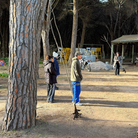 Ya se entregaron más de 600 árboles y continúa la campaña gratuita del Vivero Municipal