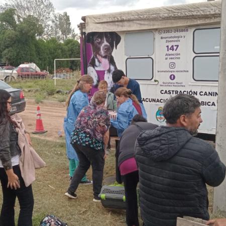 Jornada gratuita de castración masiva este sábado en Quequén