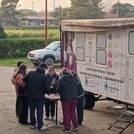 Se realizó una nueva jornada de castración masiva y habrá atención temporal del quirófano en el Corralón