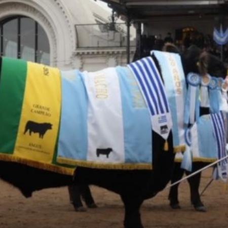 Orgullo necochense: un toro de La Dulce hizo historia al consagrarse Gran Campeón Macho Angus en la Expo Palermo 2026