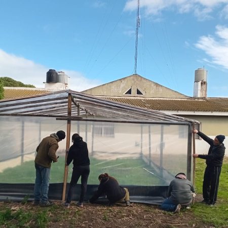 Puerto Ciudad desarrolla un invernáculo para aprender, producir y construir territorio en Costa Bonita