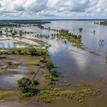 Fenómeno El Niño: anticipan un trimestre con más lluvias y temperaturas por debajo de lo normal