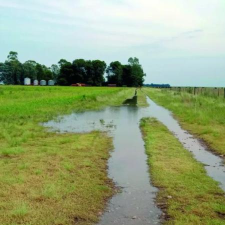 El “Súper Niño” pone en alerta al campo y complica aún más la salida de la cosecha de maíz