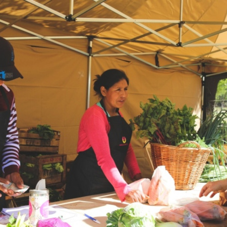 Sabe la Tierra regresa al Parque Miguel Lillo con feria sustentable, taller gratuito y plan por lluvia