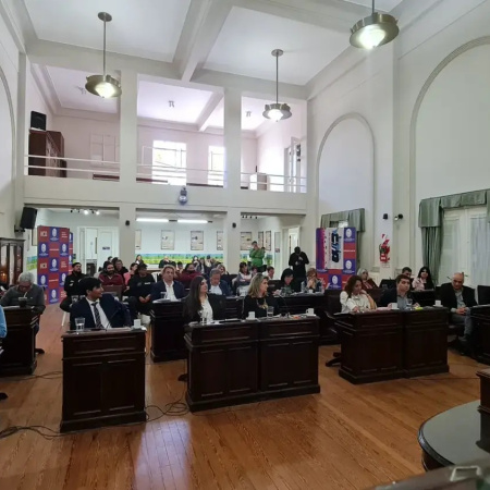 El Concejo Deliberante declaró la Emergencia del Transporte Público por 90 días