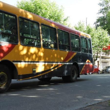 Colectivos en Necochea: los “micros azules” evaluarán si vuelven a competir por la concesión