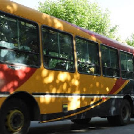 Nuevo pliego para los colectivos: el Ejecutivo prepara cambios en recorridos y frecuencias